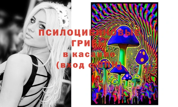 COCAINE Гусев
