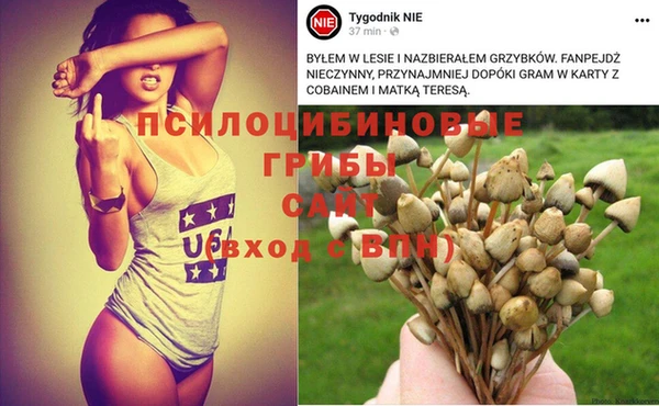 индика Протвино