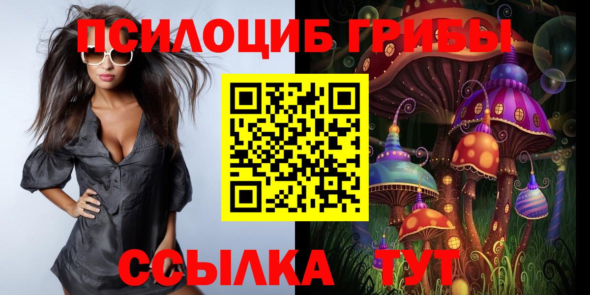 Сальск  Псилоцибиновые грибы GOLDEN TEACHER  Галлюциногенные грибы Psilocybine cubensis  Вход с VPN 