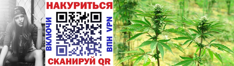 Шишки марихуана тримм  hydra вход  Сальск 